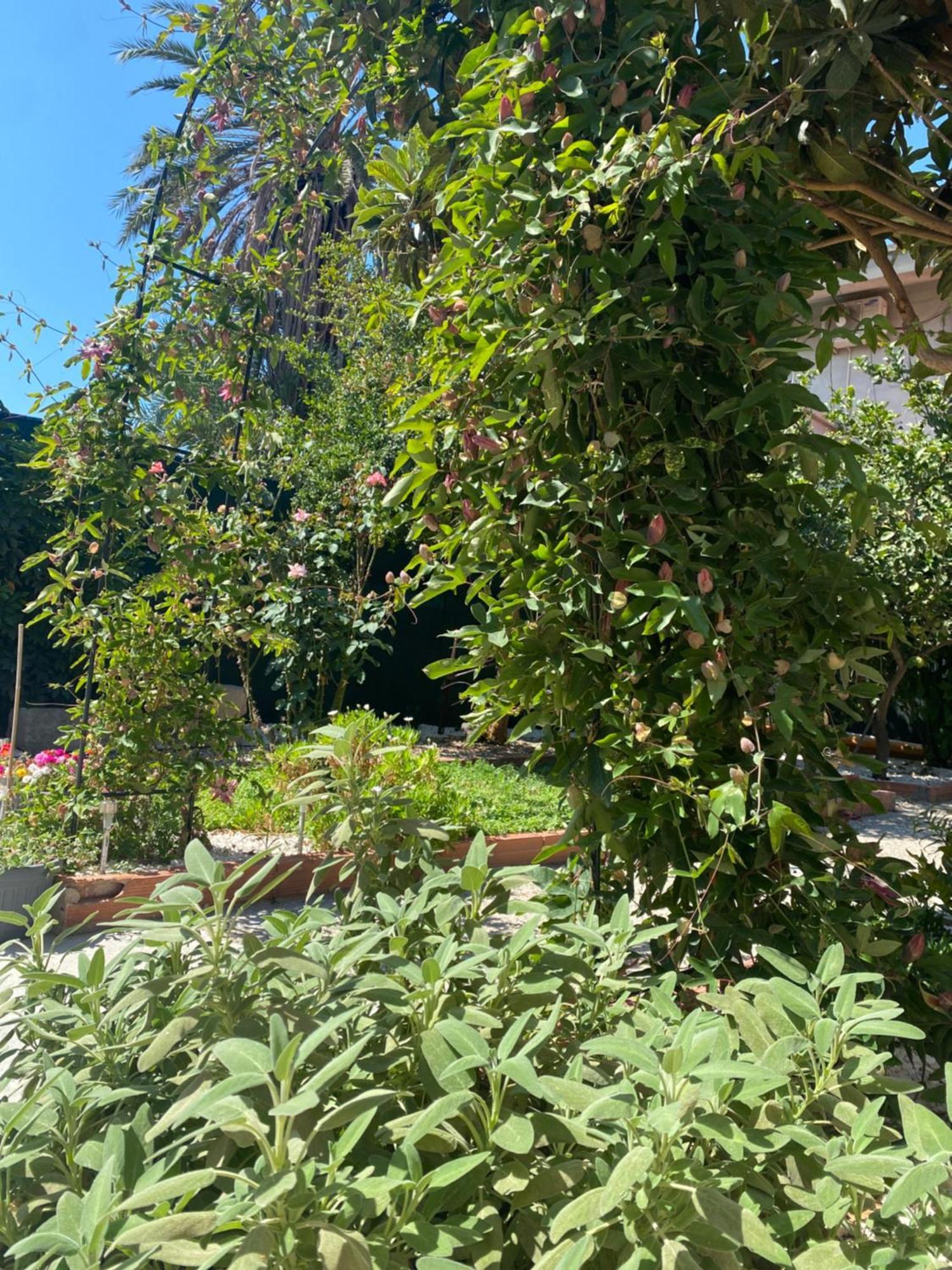 Villa Tesori Del Sinis Càbras Esterno foto